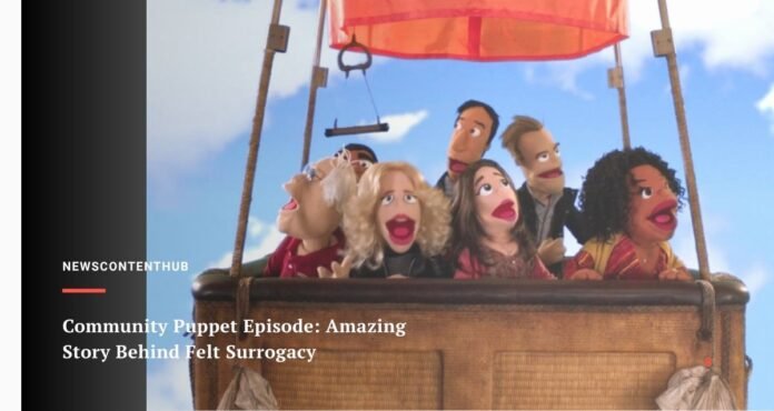Community Puppet Episode: Amazing Story Behind Felt Surrogacy