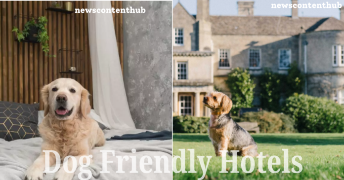 Dog Friendly Hotels